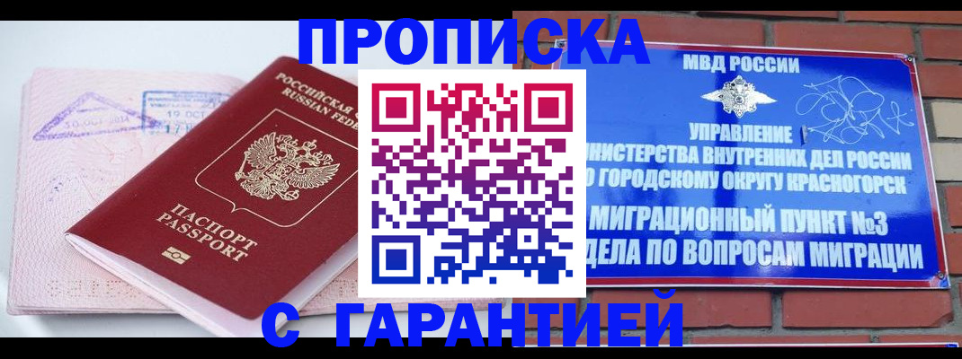прописка законно в Заринске